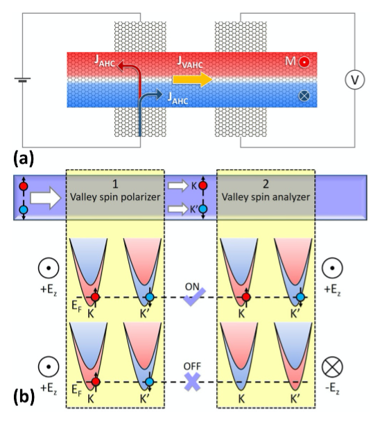 Figure (a) Schematic setup for the detection of the VHE in chromia with two antiparallel aligned domains of the surface magnetization. Figure (b) Working principle of the valley spin valve, where Ez can be supplied by a ferroelectric gate.