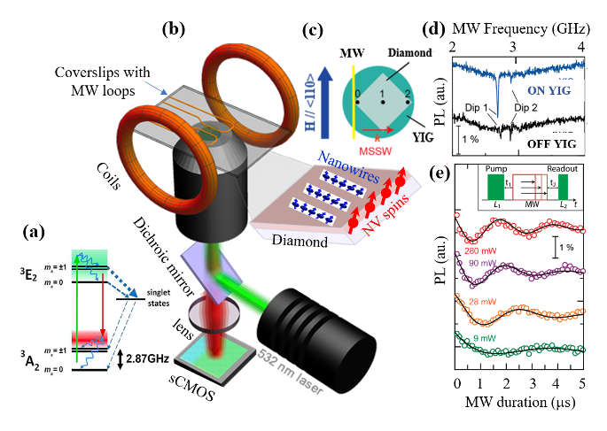 Fig.: (a) Energy-levels of NV. (b) Schematic of ODMR microscope. (c) A diamond film mounted on a YIG disk. (d) NV ODMR peaks on (off) YIG, at applied fields of 180 G (160 G). (e) Magnon driven Rabi oscillations in NV spins (dip 1 in (d)).