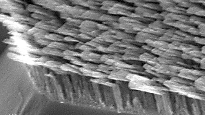 Researchers fabricated an optical element that uses a forest of tiny, antenna-like nanorods, seen here, that together create a metamaterial able to control the spin of light. The metamaterial nanorods appear to be shaped like the letter “L” when seen at the nanoscale.