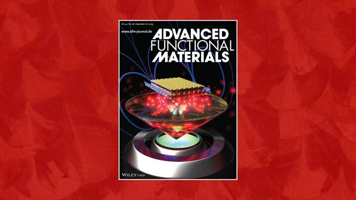 Using diamond quantum sensors based on nitrogen vacancy (NV) centers, researchers visualize room-temperature stray magnetic fields localized at the edges of tungsten disulfide (WS2) flakes.